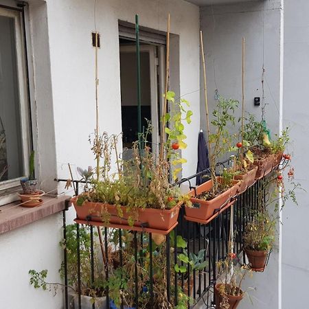 La Puisatiere 80 M2 Apartment สตราสบูร์ก ภายนอก รูปภาพ