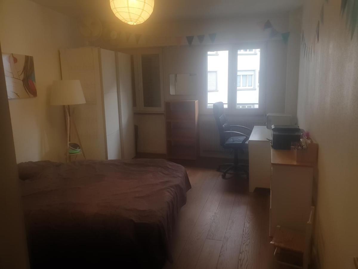 La Puisatiere 80 M2 Apartment สตราสบูร์ก ภายนอก รูปภาพ