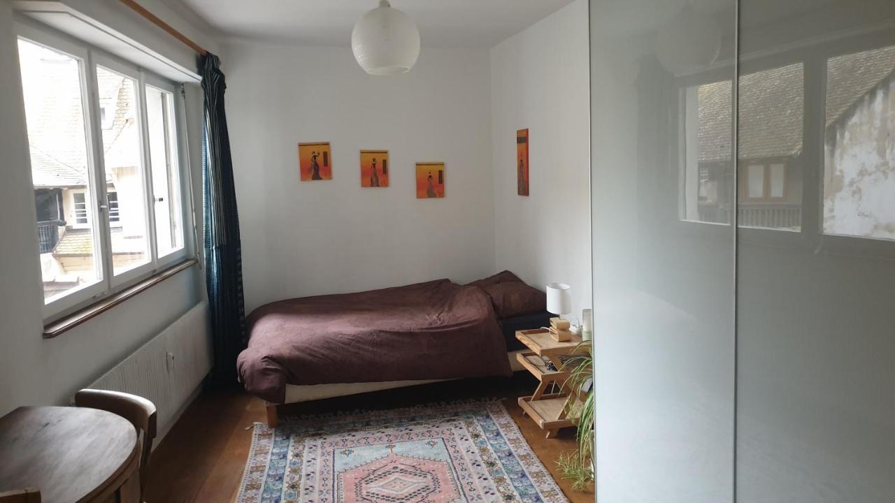 La Puisatiere 80 M2 Apartment สตราสบูร์ก ภายนอก รูปภาพ