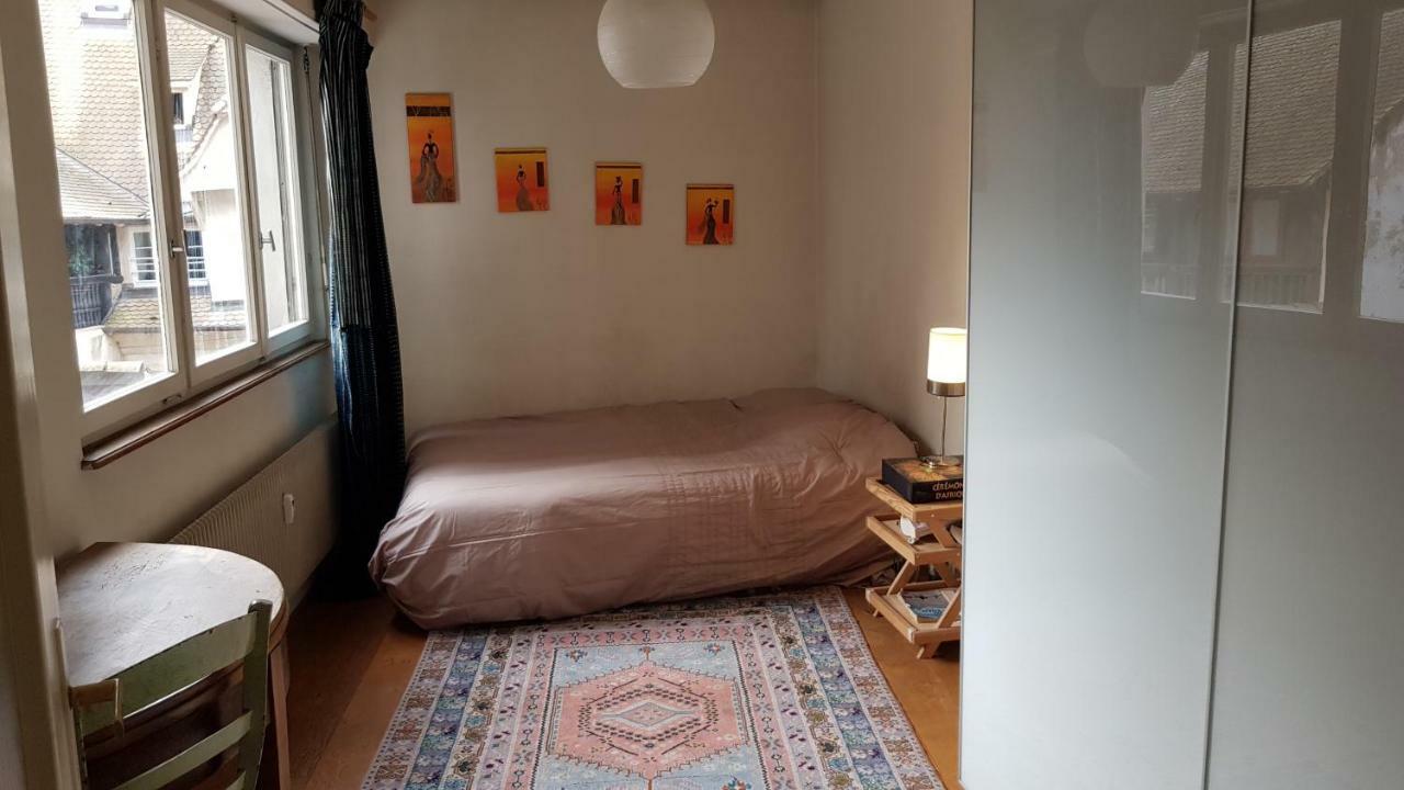 La Puisatiere 80 M2 Apartment สตราสบูร์ก ภายนอก รูปภาพ